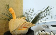 offerte ferragosto hotel riccione