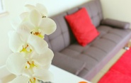 bilocale moderno riccione